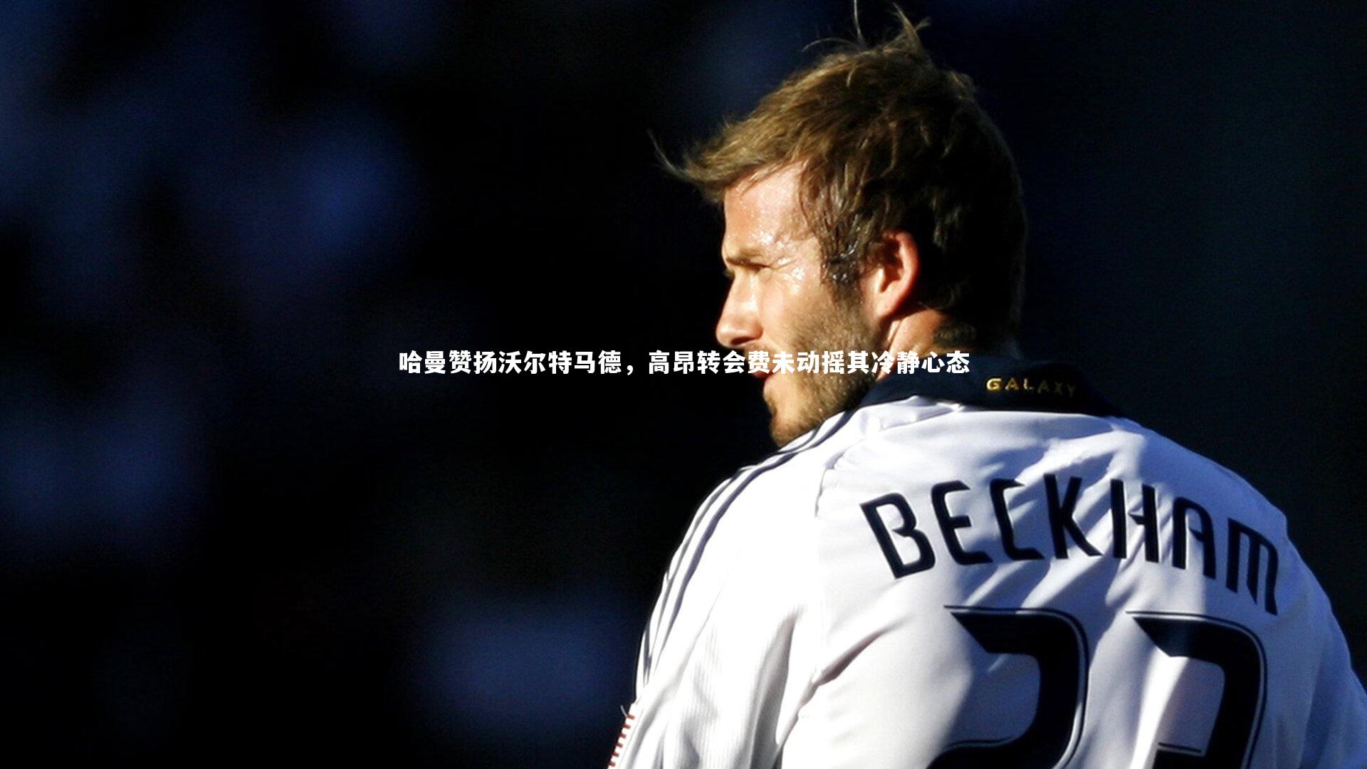 哈曼赞扬沃尔特马德，高昂转会费未动摇其冷静心态